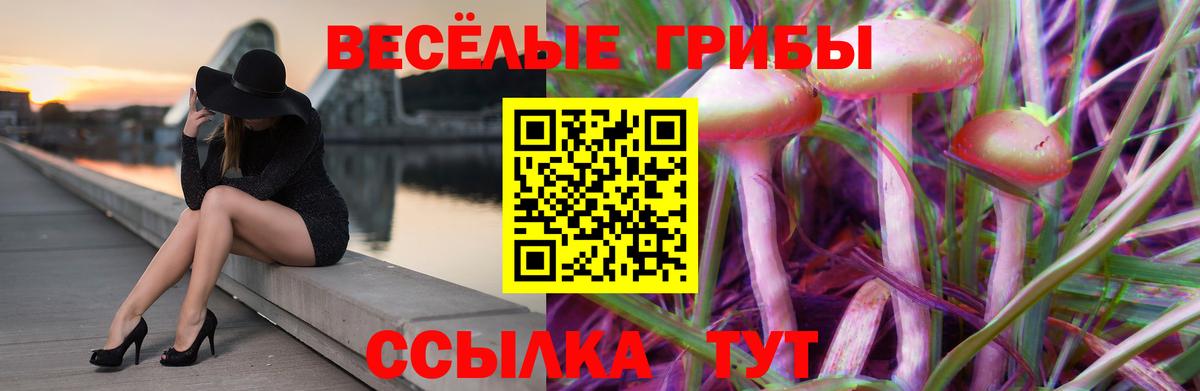 Псилоцибиновые грибы GOLDEN TEACHER Сухой Лог
